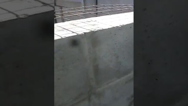 времянка из пеноблока PS