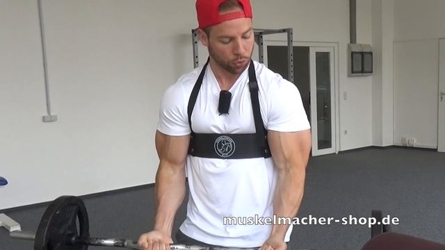 Bizeps Voluminizer vs. Scottbank Curls