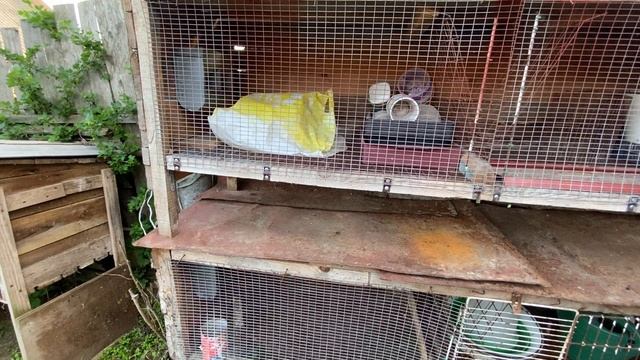 Муж или Жена? Кто должен делать это? смотреть онлайн