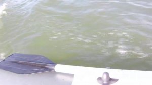 скорость пвх лодки касатки с двигателем ямаха 6сл все сбалансированн о 30км