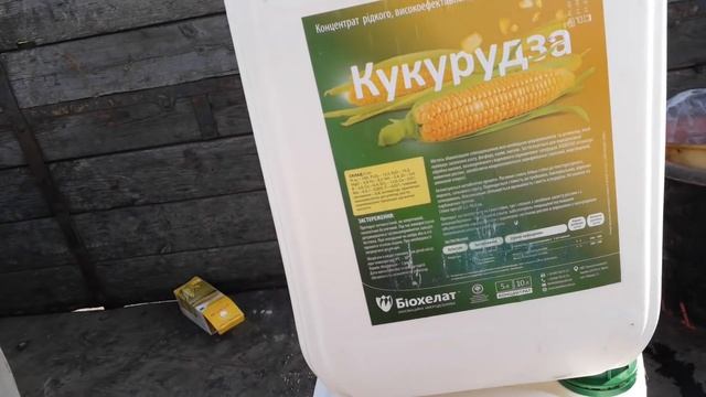 Первая подкормка кукурузы по листу. Агро-канал.