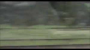 МАФИК  КРАСИВАЯ