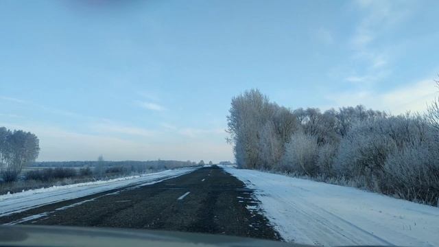 Кулундинская степь. Алтайский край. смотреть онлайн