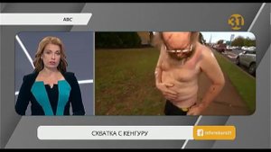 Кенгуру напал на супружескую пару