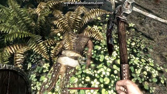 Skyrim  Walking through the forest