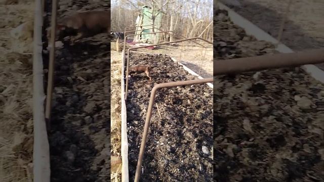 15 января 2023 г. дача, Горячий Ключ смотреть онлайн