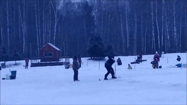 Утренние поимки на актив до запуска, нижний пруд. Клёвое место "Лосиный остров". смотреть онлайн