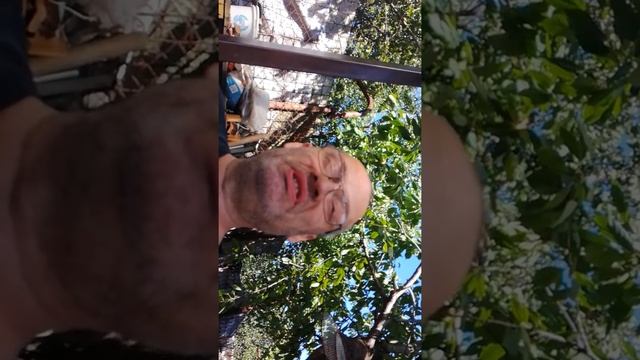 Полипропиленовые трубы и кислород в системе отопления смотреть онлайн