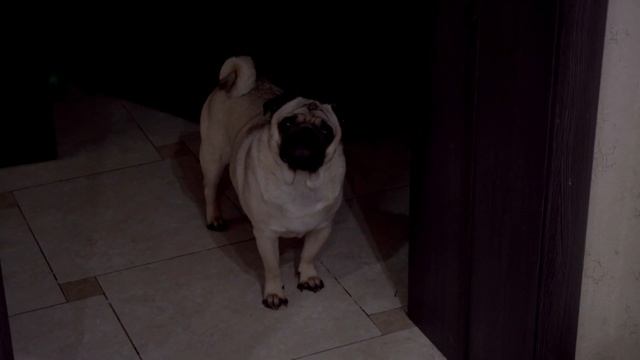 Как я "победил" подагру. Лечение подагры. Моя история. Влог. смотреть онлайн