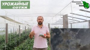 ВОТ ТАК Я ИЗБАВЛЯЮСЬ  от вирусов и нематоды!