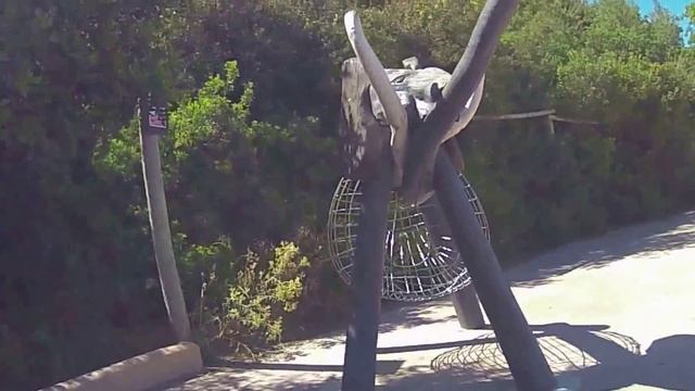 Zoo park, Elephant Hand Made, Selwo Aventura, Costa del Sol, Estepona, Málaga, Spain 2014 HD смотреть онлайн