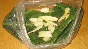 Огурцы малосольные в пакете с хреном и семенами укропа