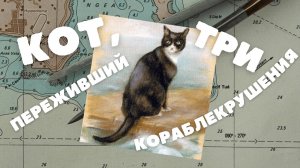 Кот, который пережил три кораблекрушения