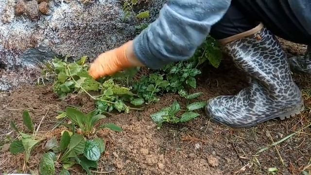 Устала Надоело // Нужно Все Менять смотреть онлайн
