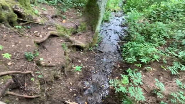 Экотропа Святые криницы смотреть онлайн