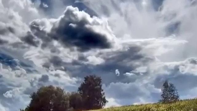 август смотреть онлайн