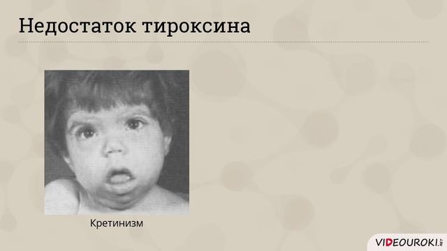 Видеоурок по биологии "Роль гормонов в обмене, росте и развитии организма"