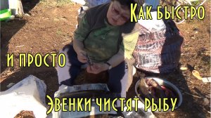 Как быстро и просто эвенки чистят рыбу