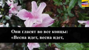 Ф.И. Тютчев " Весенние воды " | Учи стихи легко | Караоке | Аудио Стихи Слушать Онлайн