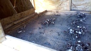 обзор летнего курятника с выгулом для кур и бройлеров