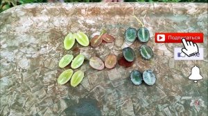 Почему Кишмиш с Костями!?