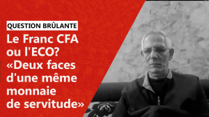 Le Franc CFA ou l'ECO? «Deux faces d'une même monnaie de servitude»