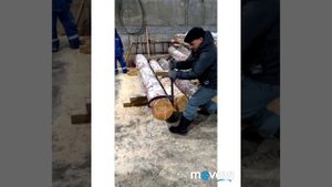 Ленточная пилорама Тайга Т-3 напил за 5 дней.