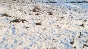 Все, что происходит в жизни – не случайно.