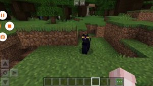 7 Фактов о кошках в Майнкрафт