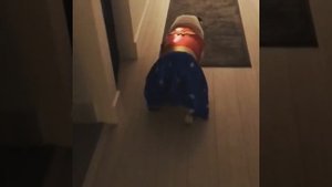 Смешные бульдоги: видео приколы