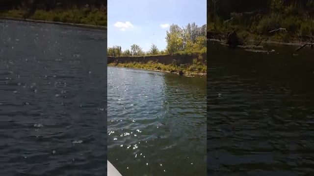 Лодка boatsman bt280, безкилевая, пайольная(пол-книжка) +mercury 3.3, штатный винт, гидрокрыло.