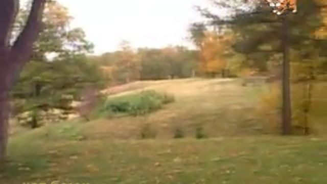 в парке Александрия 2008 год смотреть онлайн