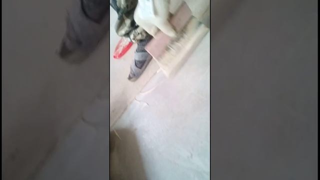 Правильное нанесения клея,под линолеум и не только.
