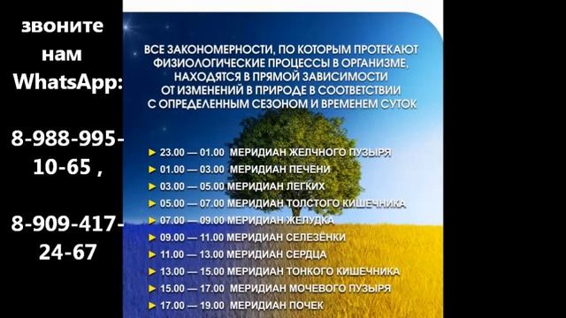 1. Часы активности меридианов смотреть онлайн