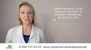 Почему тараканы появляются снова?