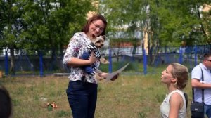ХВОСТАТОЕПАТИ 23.06.18 - видео с нашей встречи / как это было