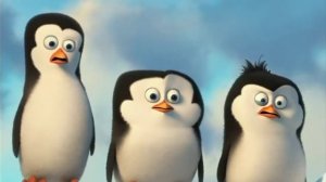 пингвины Мадагаскара анти версия