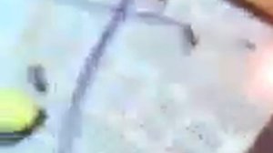 Запись сигнала в регистровую микросхему КМ155ИР1