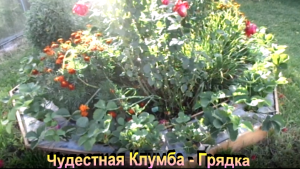 "проект клумбы - грядки" #Огород #Сад #Дача