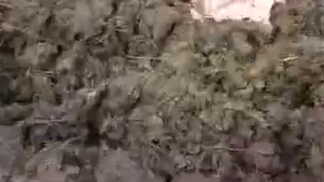 ГОВНО ПРЫГ АНТОША!!! смотреть онлайн