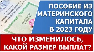 Ежемесячная выплата из материнского капитала в 2023 году. Размер пособия, обзор изменений.