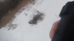 Пионер отстрел Тула А+А гавно полное