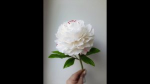 Пион. Часть 3. Листья, тонировка. Холодный фарфор.