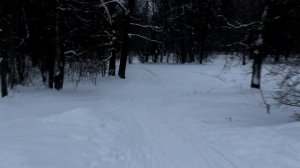 Балашёвский парк - усадьба Шапки