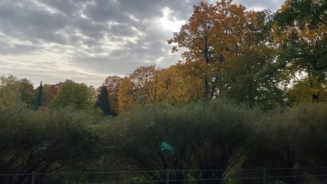 Германия 2020. Осенний парк. Видео №1 #германия #природа #релакс