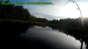 Решили покидать спиннинг на болоте. Что было дальше. (fishing on the swamp)