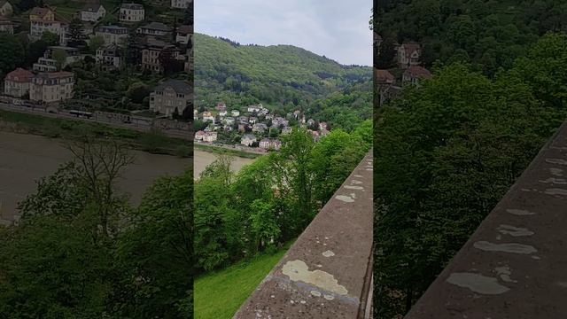 Scheffelterrasse Heidelberg #shorts