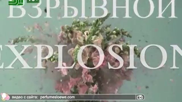 Парфюмерные премьеры весны от Loewe смотреть онлайн