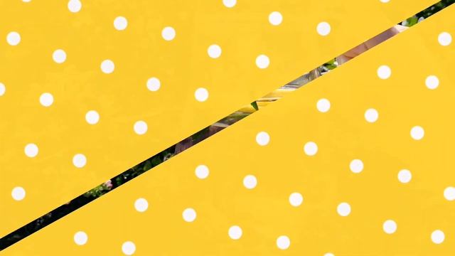 Как устроить пикник?? ||необычные идеи? ||Lutfie Suleiman смотреть онлайн