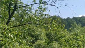 Красноярский край! Отдых реке Мана, вблизи поселка Нарва!